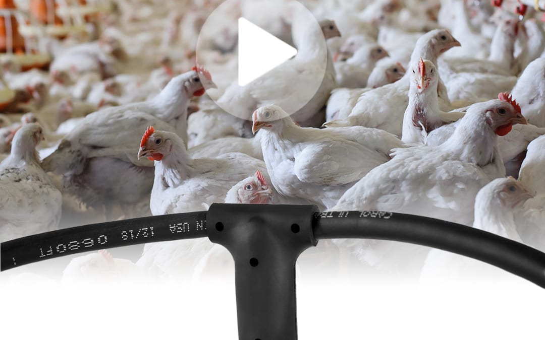 Design and Build for Rugged Overmolded Harness | AgriRobust